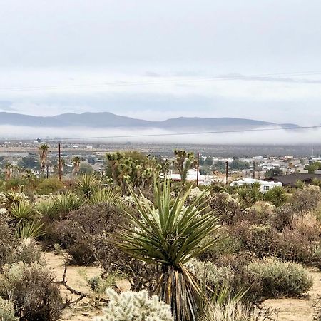 Cozy Desert Retreat With Amazing Views Only 4 Miles To Jtnp Joshua Tree Buitenkant foto